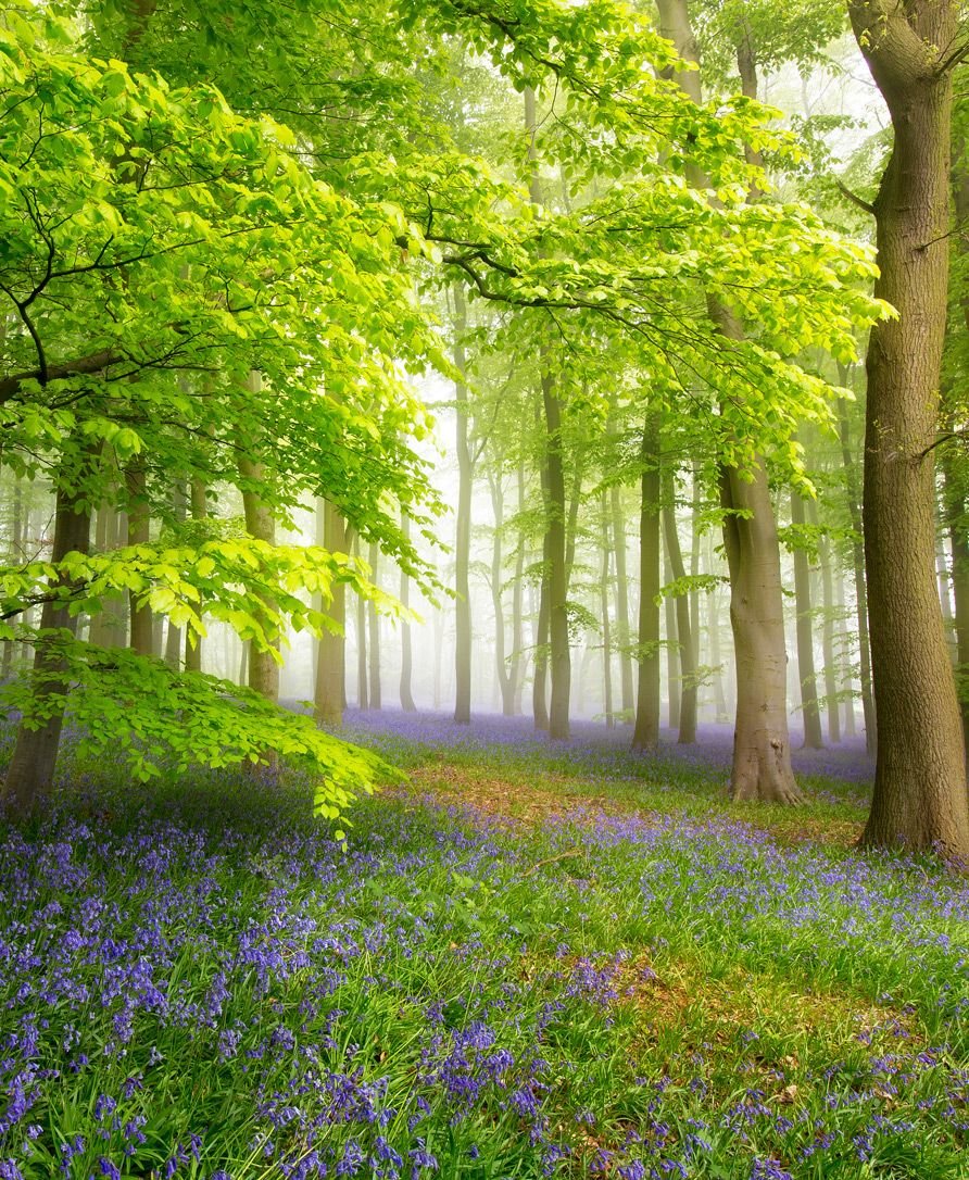 Salud Integrativa Salud Integrativa