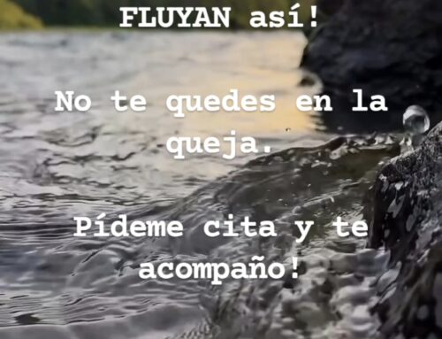 Fluye con Salud y Bienestar