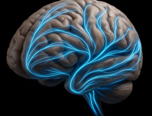 EL SISTEMA GLINFÁTICO: TU CEREBRO SE «LAVA» MIENTRAS DUERMES