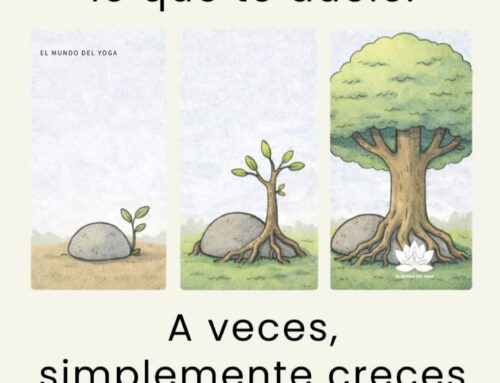 Trascender el obstáculo = Éxito