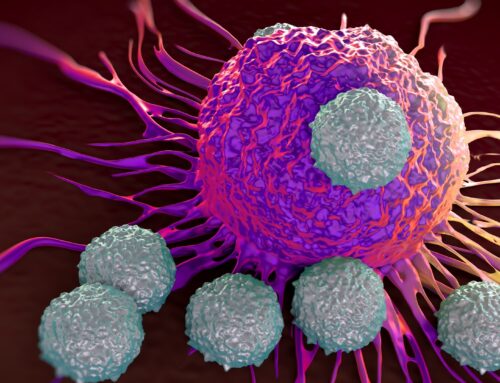 CÁNCER, la alimentación es fundamental